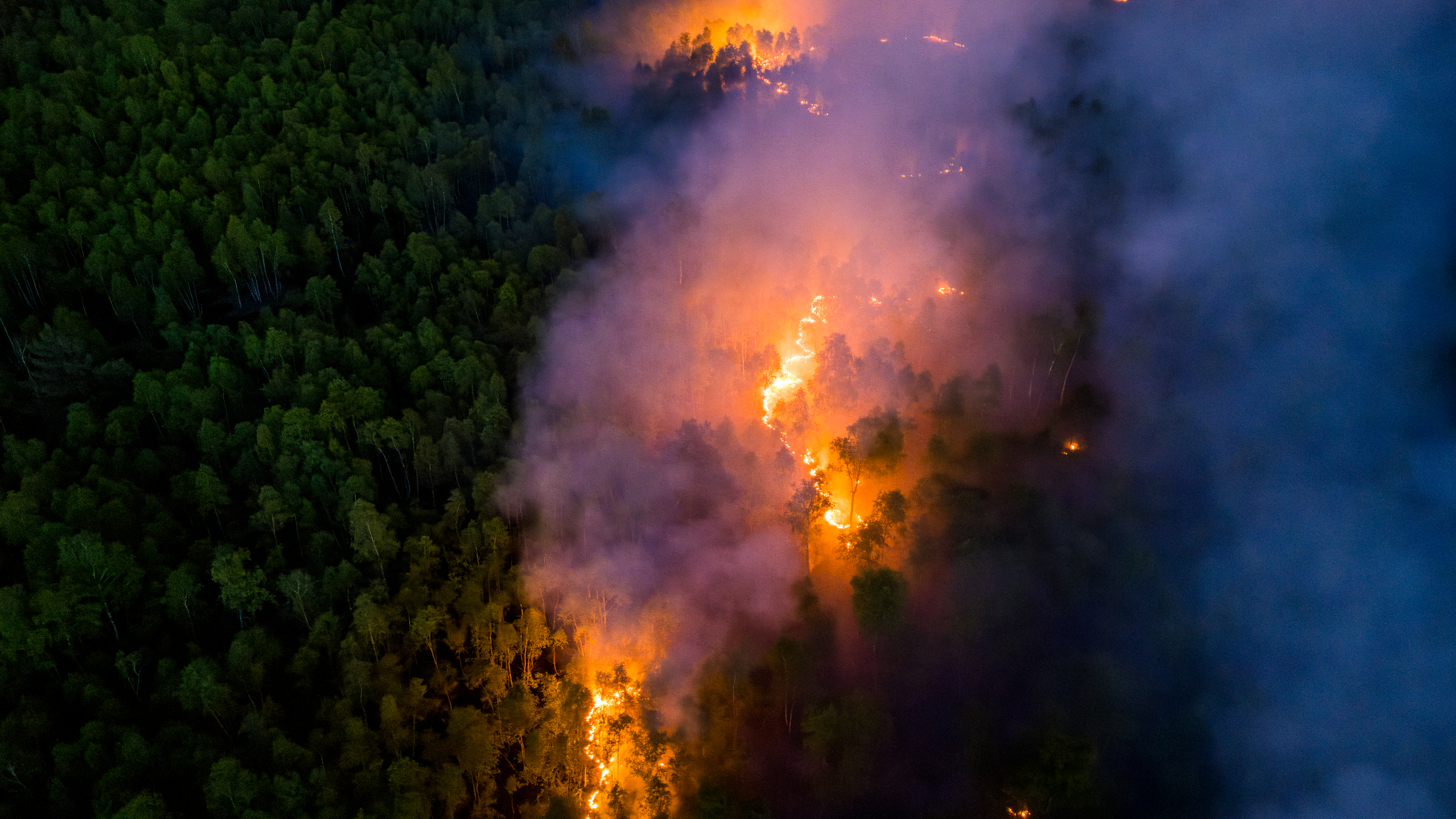 Waldbrand in Jüterbog: über 137 Hektar Wald stehen in Flammen - Munitionsbelastung: die Feuerwehr kann kaum löschen