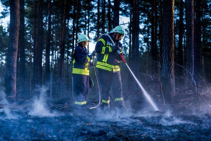 Waldbrand bei Döbern: 200qm Waldboden in Flammen - Feuerwehr mehrere Stunden im Löscheinsatz