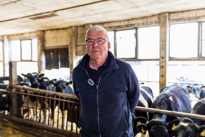 Betroffener Landwirt: 74 Rinder in ElbeElster über nacht gestohlen! - Es gibt keine Zeugen