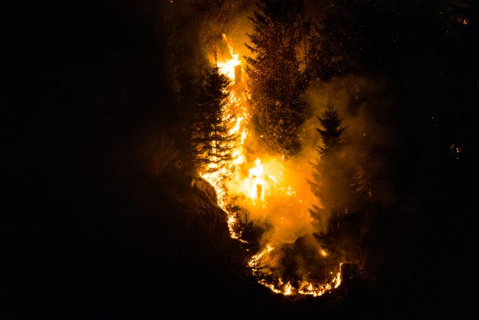 110 Hektar Wald stehen im alpinem Gelände in Flammen: Österreichische Feuerwehren kämpfen mit Hilfe von Hubschraubern tagelang gegen das Feuer