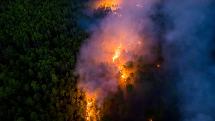Waldbrand in Jüterbog: über 137 Hektar Wald stehen in Flammen - Munitionsbelastung: die Feuerwehr kann kaum löschen
