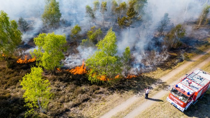 Waldbrand in Jüterbog: über 137 Hektar Wald stehen in Flammen - Munitionsbelastung: die Feuerwehr kann kaum löschen