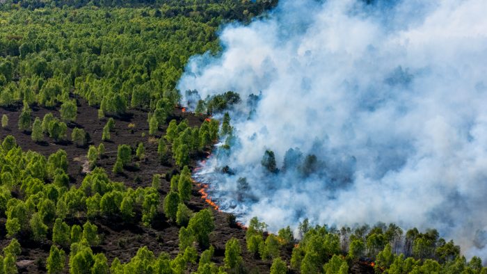 Waldbrand in Jüterbog: über 137 Hektar Wald stehen in Flammen - Munitionsbelastung: die Feuerwehr kann kaum löschen