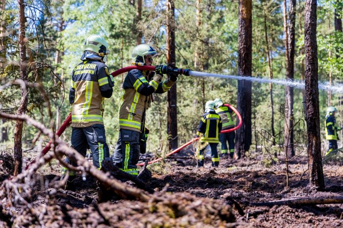 500qm Waldboden brennen am Pfingstmontag - in Brandenburg herrscht die 4 Waldbrandgefahrenstufe