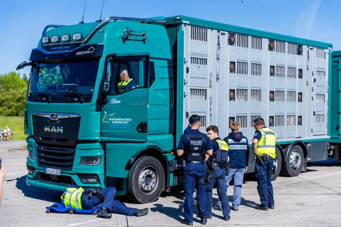 Großangelegte Schwerpunktkontrolle - Nach über 150 gestohlenen Rindern: Großkontrolle auf der A9 – Polizei filzt Tiertransporter - wohin können die Rinder einfach so verschwinden?!