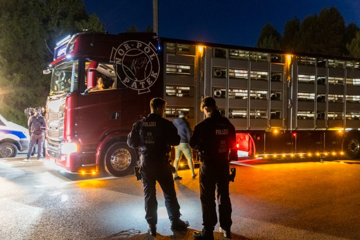 Nächtliche Jagd auf Rinderdiebe vor der polnischen Grenze: Ermittlungsgruppe „Weide“kontrolliert Tiertransporte an der A15 vor Polen